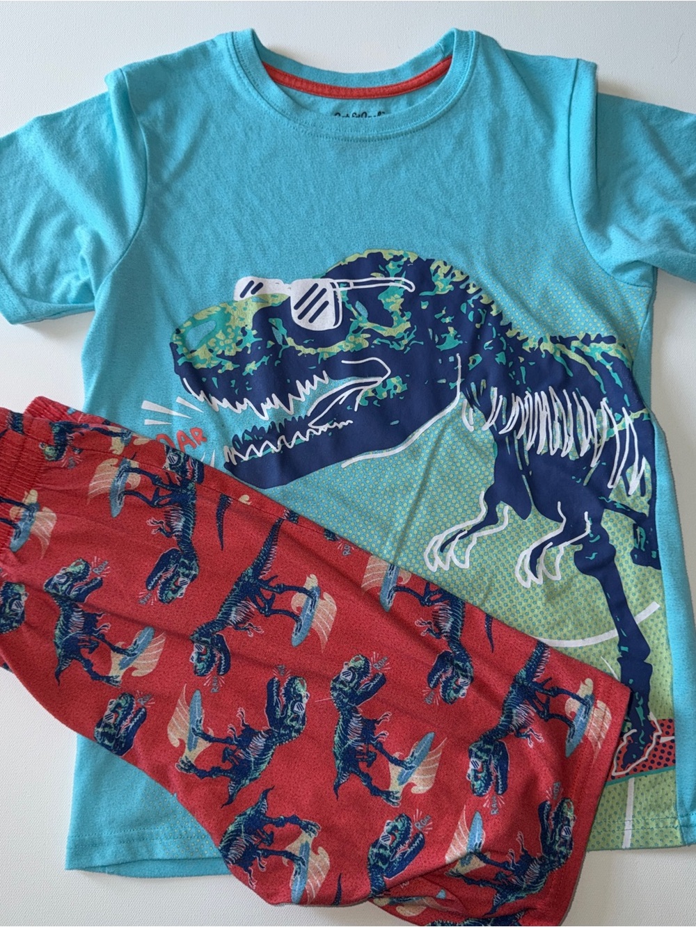 Cat & Jack Boys Dinosaur T-Shirt and Shorts